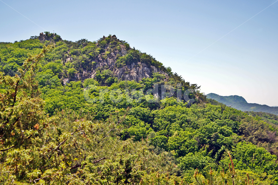관악산,과천,사당동,명산,봉우리,등산,신록,숲,자연,풍경,nature,landscape,한국자연풍경,한국자연경관,korea nature landscape,outdoors,옥외,hill,언덕