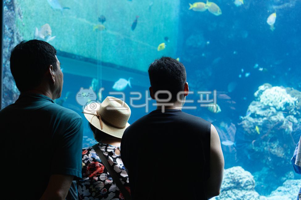 아쿠아리움,물고기,aquarium,수족관,사람,뒷모습,fish
