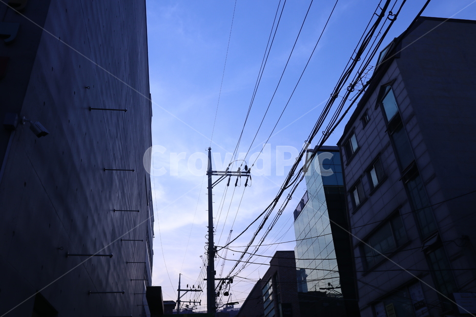 전깃줄,전선,노을,푸른,하늘,건물