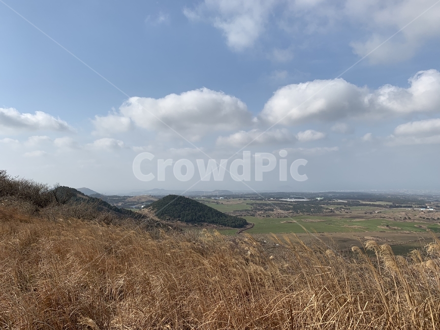 언덕,자연,nature,hill,오름,제주오름,새별오름,샛별오름,겨울제주,애월,갈대,억새