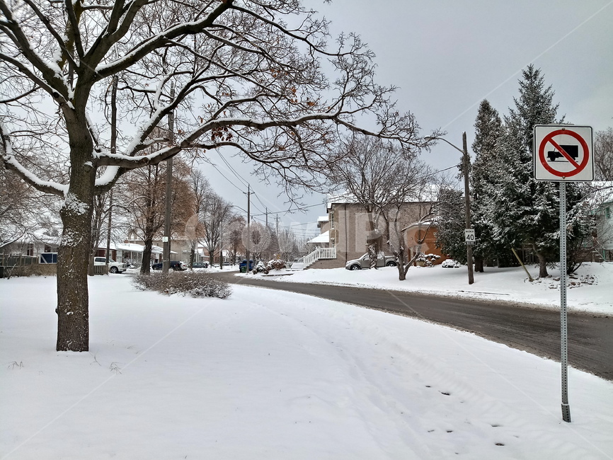 캐나다,길거리,외국,눈,canada,street,tree,snow,겨울,계절,winter,season