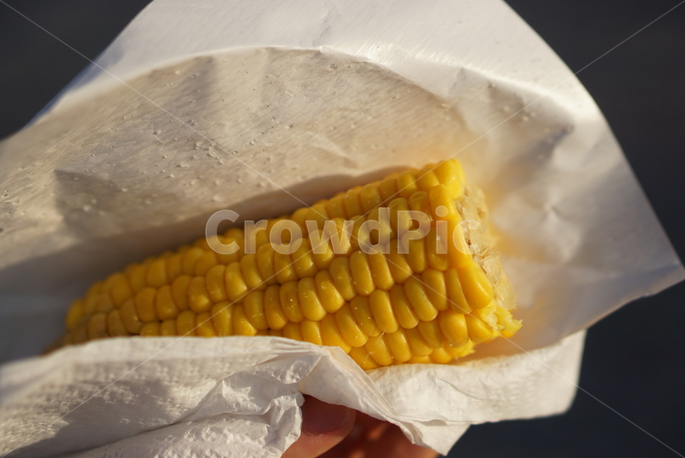 옥수수,간식,길거리음식,옥수수구이,corn