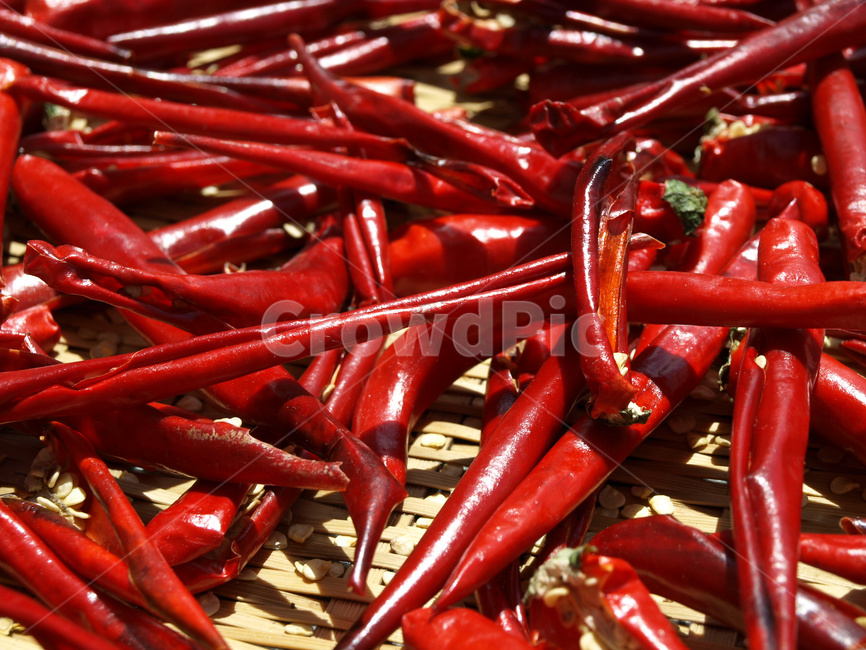 cayenne,chili,chilli,closeup,color,detail,food,healthy,hot,ingredient,nature,organic,pepper,red,spice,spicy,vegetable,vegetarian,음식,고추,홍고추,말린고추,농작물,음식재료,유기농,매운,음식,식재료,요리,food,cook,meal,dishes,food reserves