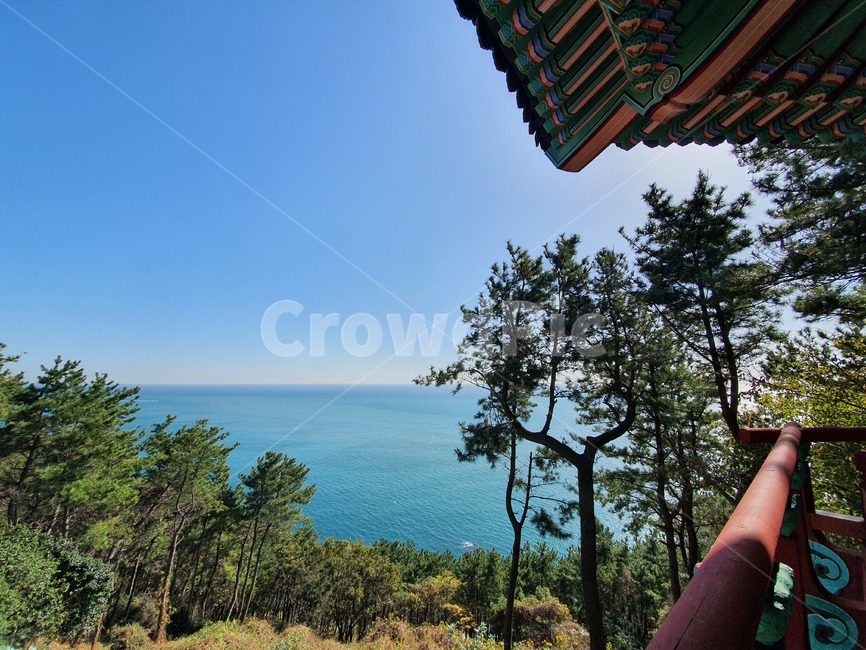 바닷가,정자,산책,소나무,하늘,sea,view,traditional