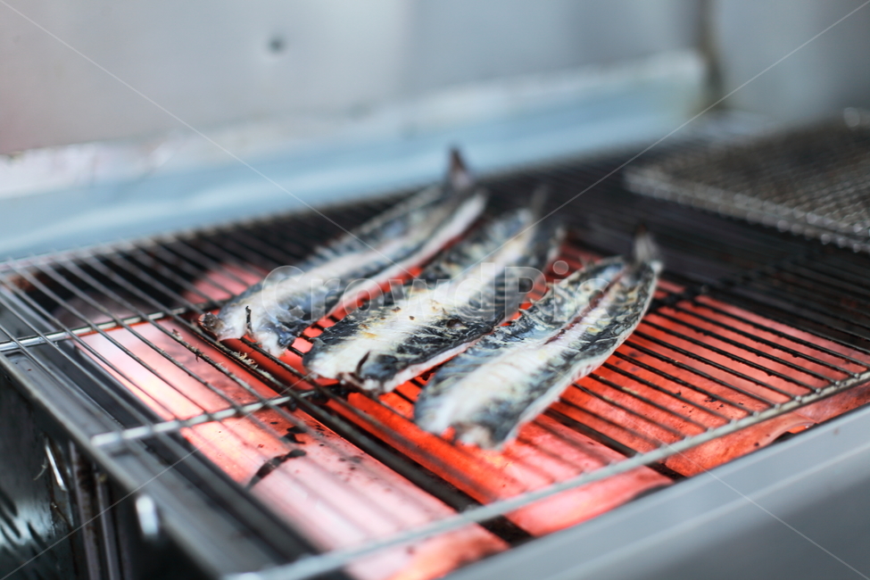 민물장어,장어,장어구이,장어굽는,김해장어,새동래장어,음식,식재료,요리,food,cook,meal,dishes,food reserves