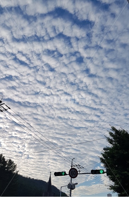 하늘,구름,양떼구름,신호등,cloud