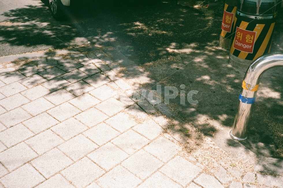 walkway,보도,통로,빛,그림자,필름사진,여름,길바닥