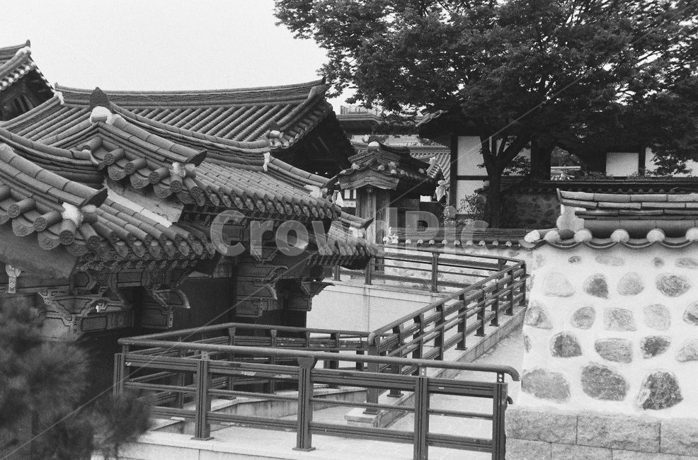 한옥마을,한옥,기와,거리,건축물,건물,building,지붕,나무