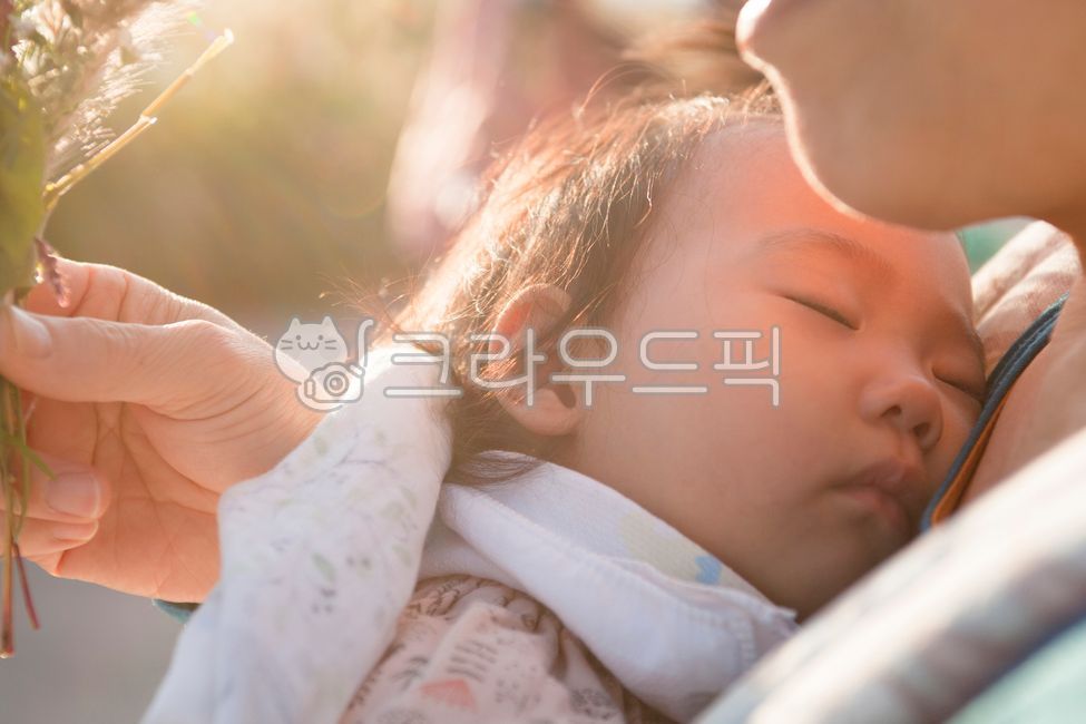gift,finger,grandson,grandparents,bouquet,Granddaughter,flower,sunlight,wildflowers,grandma,Childhood,wild flowers,autumn