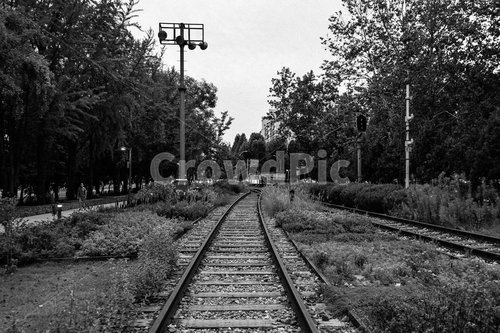 transportation,교통,rail,레일,traintrack,기찻길,railway,철도,흑백,모노톤,monochrome,black and white