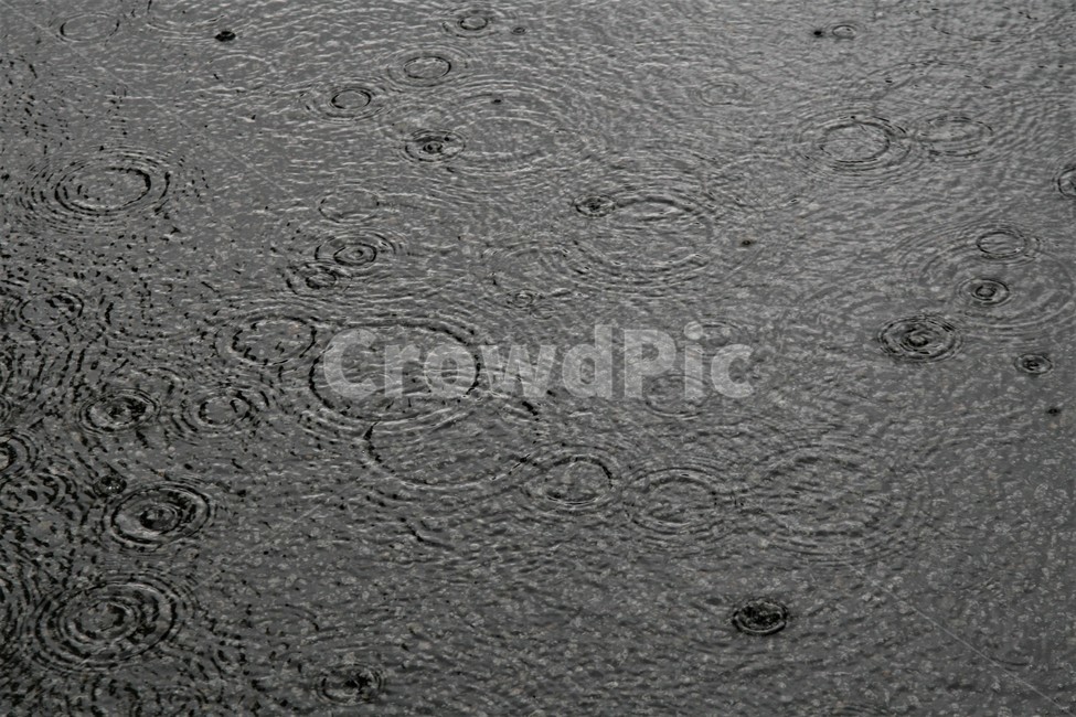 여름,장마,빗물,빗줄기,빗방울,비,비오는날,rain,rainy