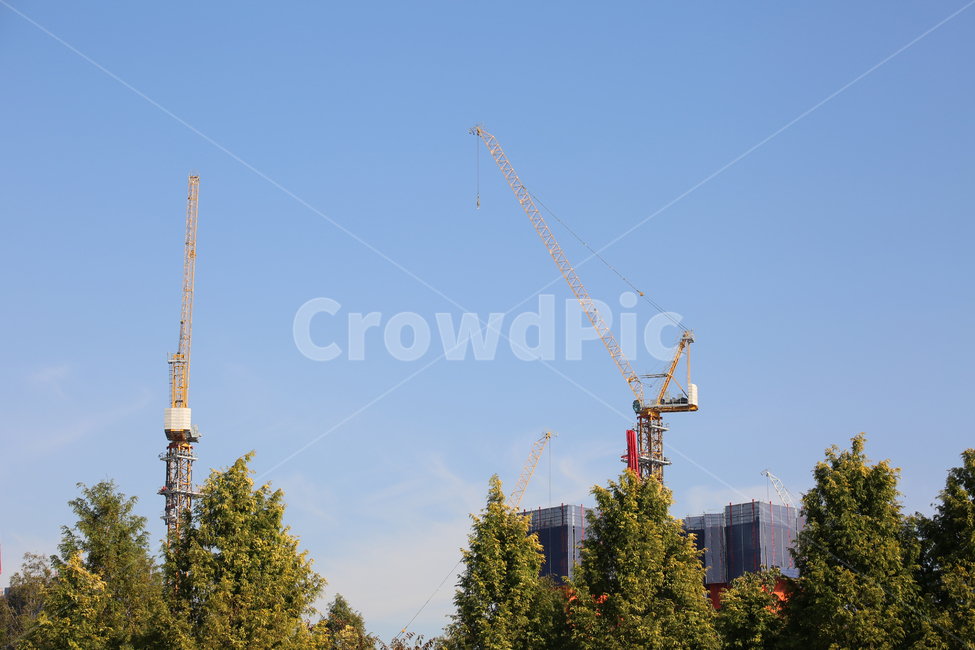 건설크레인,constructioncrane,건축,타워크레인,나무