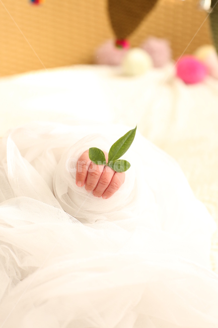 아기,아기손,손,나뭇잎,풀잎반지,사람,인물,인간,human,person,영유아,아기,애기,아이,infants,baby