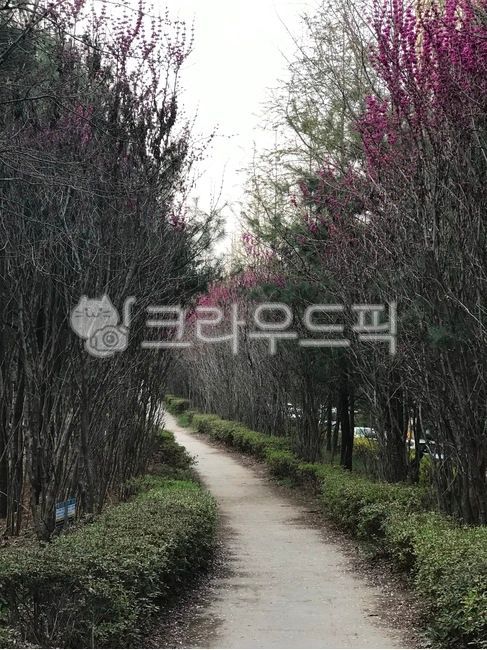 trail,11Complex Trail,walking path,apartment walk,walk