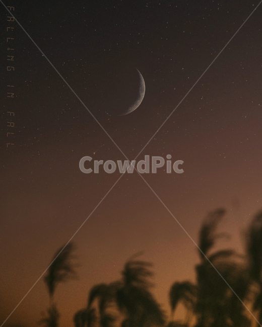 nature,자연,outdoors,옥외,우주,천문,달,자연,풍경,nature,landscape,야경,밤,nightscape,night