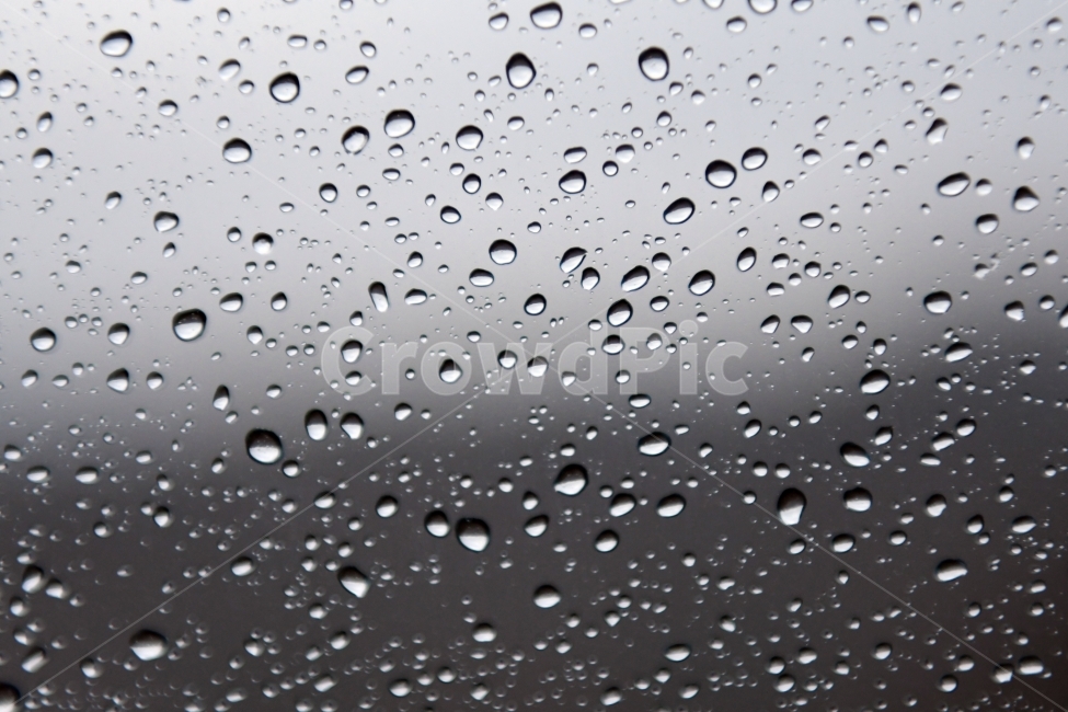 눈,풍경,겨울,눈꽃,상고대,바람,서리,추위,산,나무,물방울,비,비오는날,rain,rainy