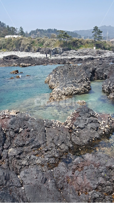 바다,해안,sea,ocean,대양,자연