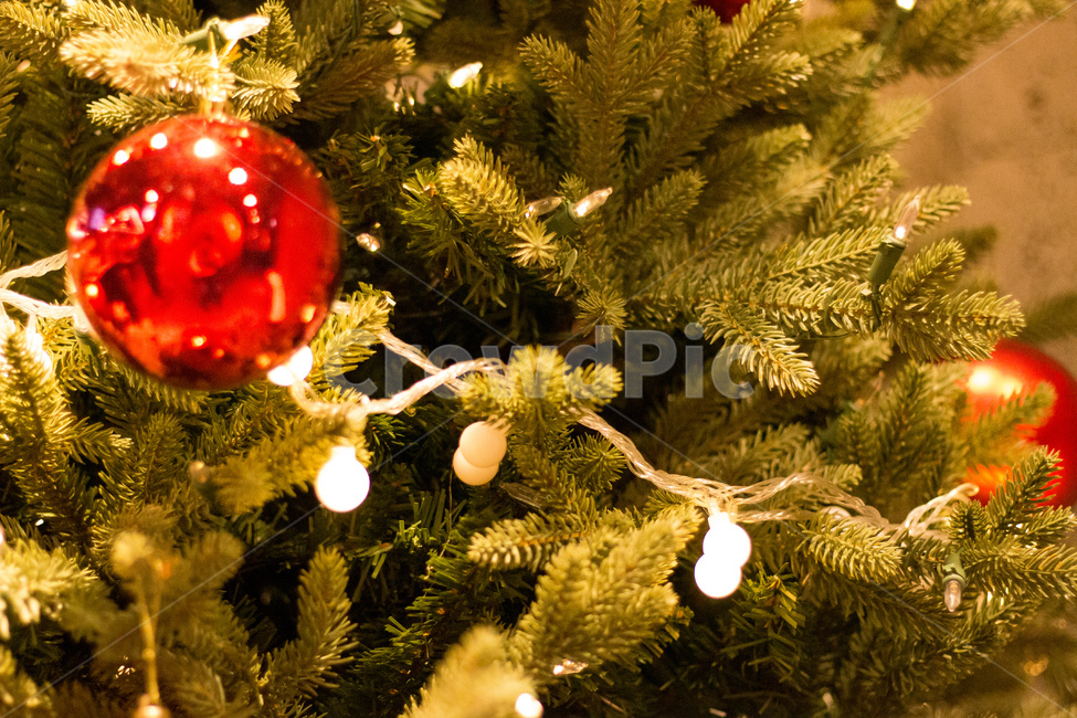 장식,ornament,크리스마스트리,조명등,12월,유리구슬,트리장식,크리스마스,tree,조명,장식품,christmastree,메리크리스마스,성탄절,merry christmas