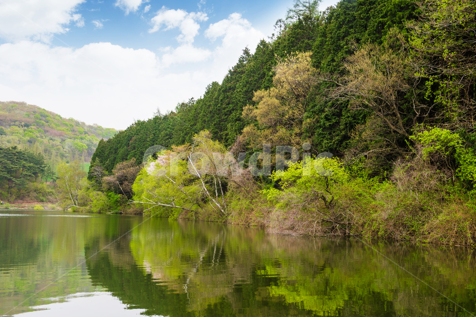 nature,자연,water,물,저수지,reservoir,reflection,반영,reflect,호수,lake,자연,풍경,nature,landscape