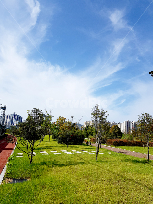 plant,식물,grass,잔디,tree,나무,양산시,거리,nature,자연,outdoors,옥외,가늘하늘,하늘,sky