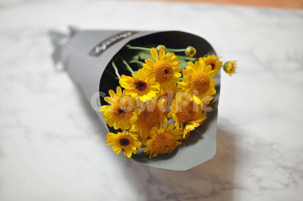 꽃,꽃다발,노란,노란꽃,축하,축하선물,flower,bouquet,congratulation,선물,present,꽃,flower,기념일,축하,anniversary,congratulation,celebrate,celebration