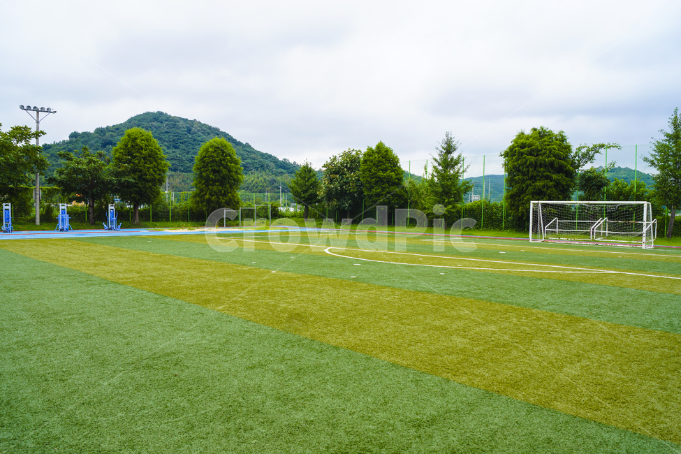 grass,잔디,plant,식물,field,들