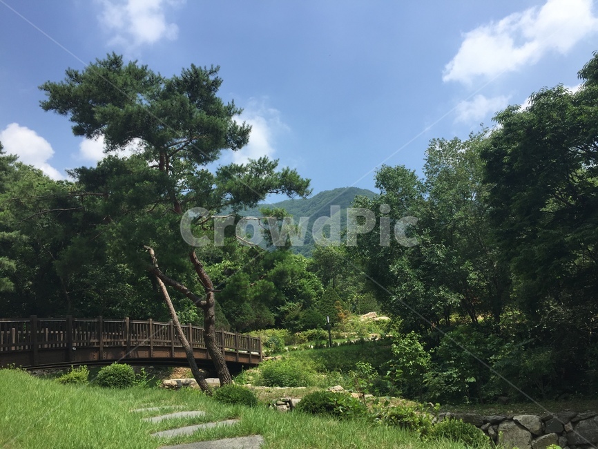 정원,가든,풍경,자연,garden,tree,nature