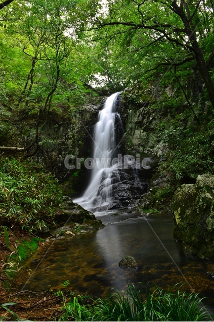 water,물,강,nature,자연,outdoors,옥외,waterfall,폭포,담양,용연계곡,계곡,stream,흐름,물흐름,여름,계절,피서지