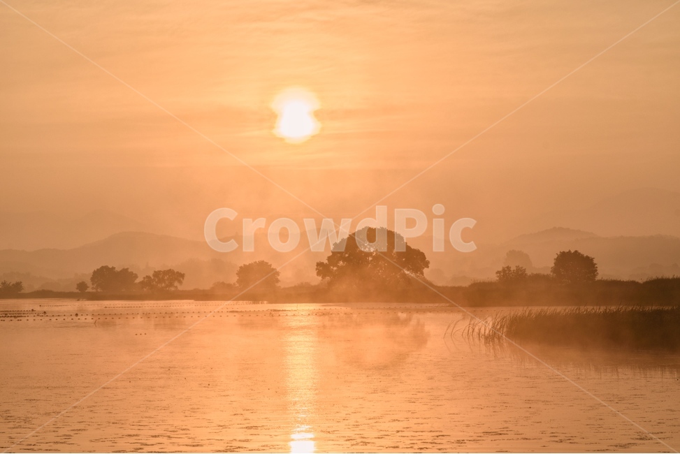 물안개,새벽,늪,일출,자연,풍경,몽환,자연,풍경,nature,landscape,outdoors,옥외
