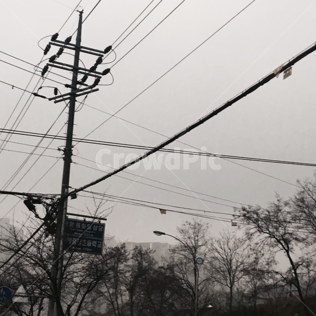 utilitypole,전신주,흐림,흐린하늘,tree,나무