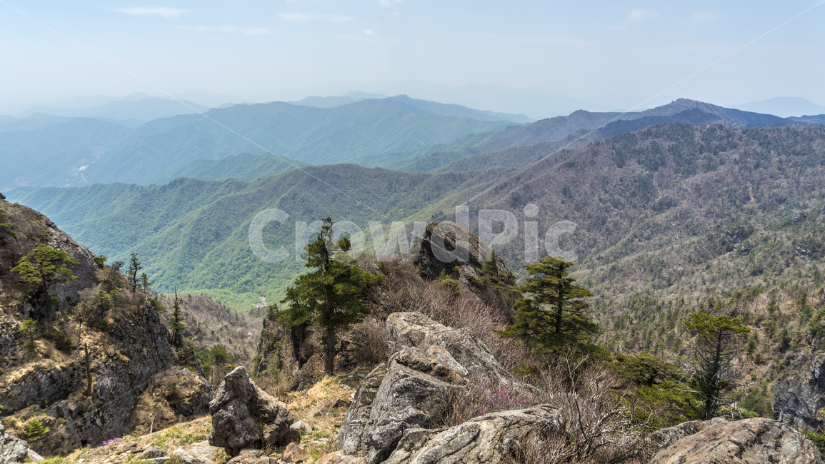 산,지리산,봄,철죽,등산,자연,한국자연경관,한국자연풍경,spring,landscape,koreanaturelandscape