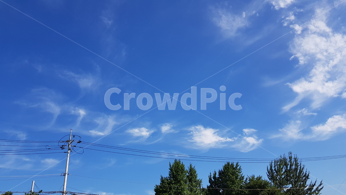 구름,파란하늘,뭉게구름,하얀구름,cloud,bluesky,nature,자연,outdoors,옥외,푸른하늘,azuresky,sky,하늘,나무,전봇대,전선,전기줄,cable