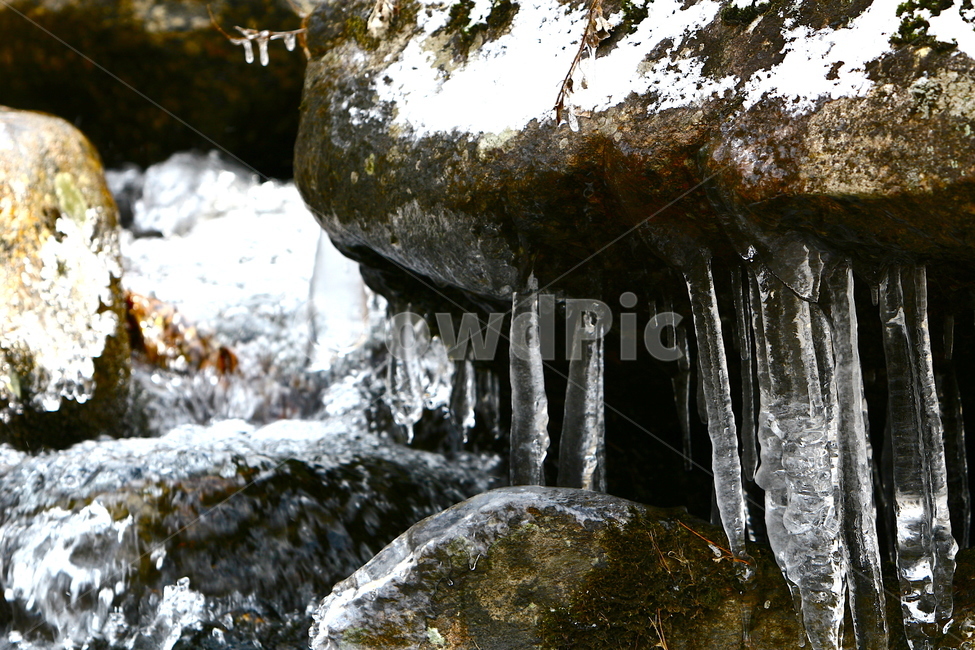겨울계곡,계곡,시냇물,얼음,고드름,겨울,자연,풍경,landscape,nature,season,winter,겨울,계절,winter,season