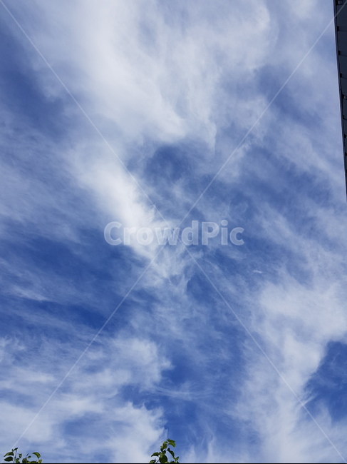구름,파란하늘,하얀구름,뭉게구름,특이한구름,파란,하얀,special,cloud,sky,bluesky