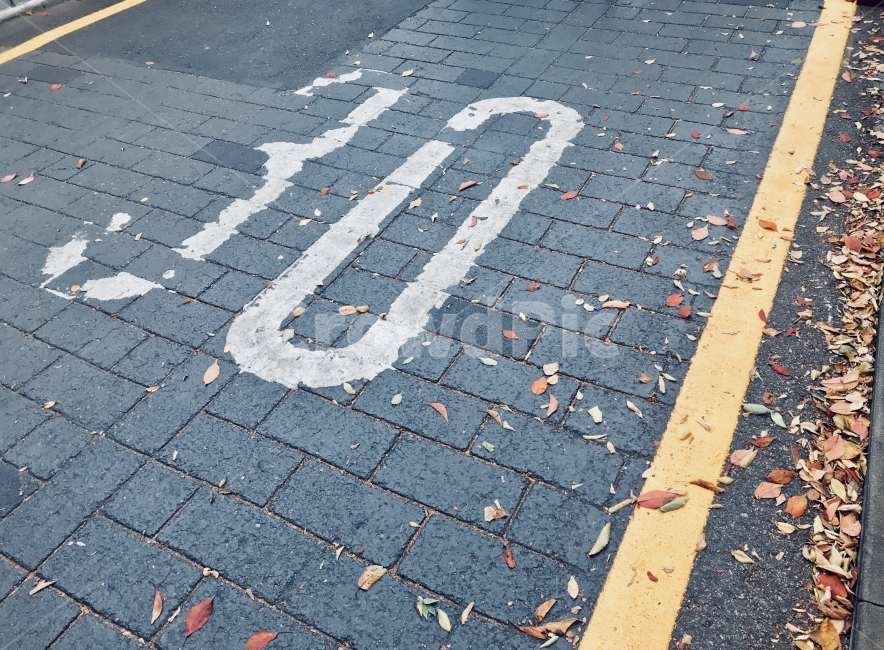 30,낙엽,북촌,오후,서른,가을,계절,fall,autumn,season,path,통로,walkway,보도,asphalt,아스팔트,sidewalk,pavement,포장