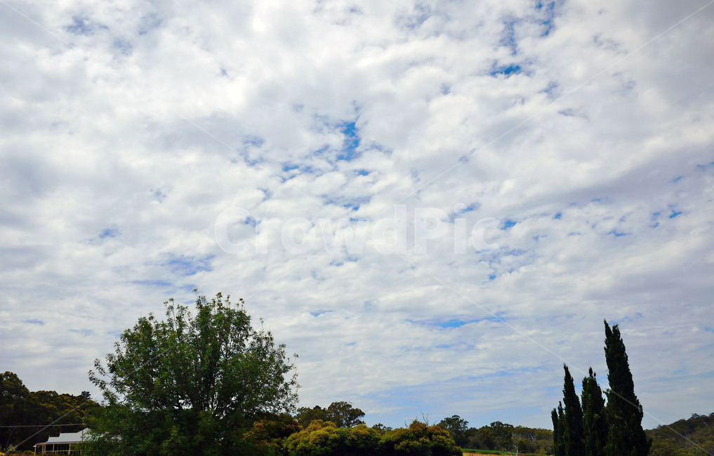 자연,하늘,구름떼,숲속구름,sky,자연,풍경,nature,landscape,outdoors,옥외