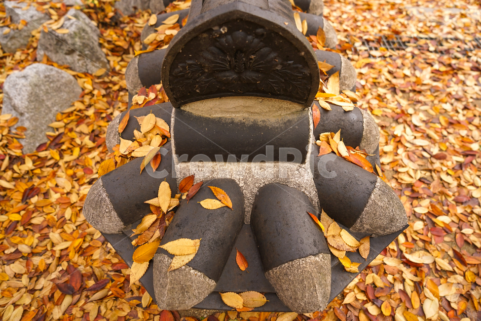 가을,낙엽,잎새,잎,계절,한옥,담장,기와,가을,계절,fall,autumn,season,한국전통,한국문화,korean traditional,korean culture,건축물,건물외관,exterior,building,structure,architecture,construction,leaf,plant,식물