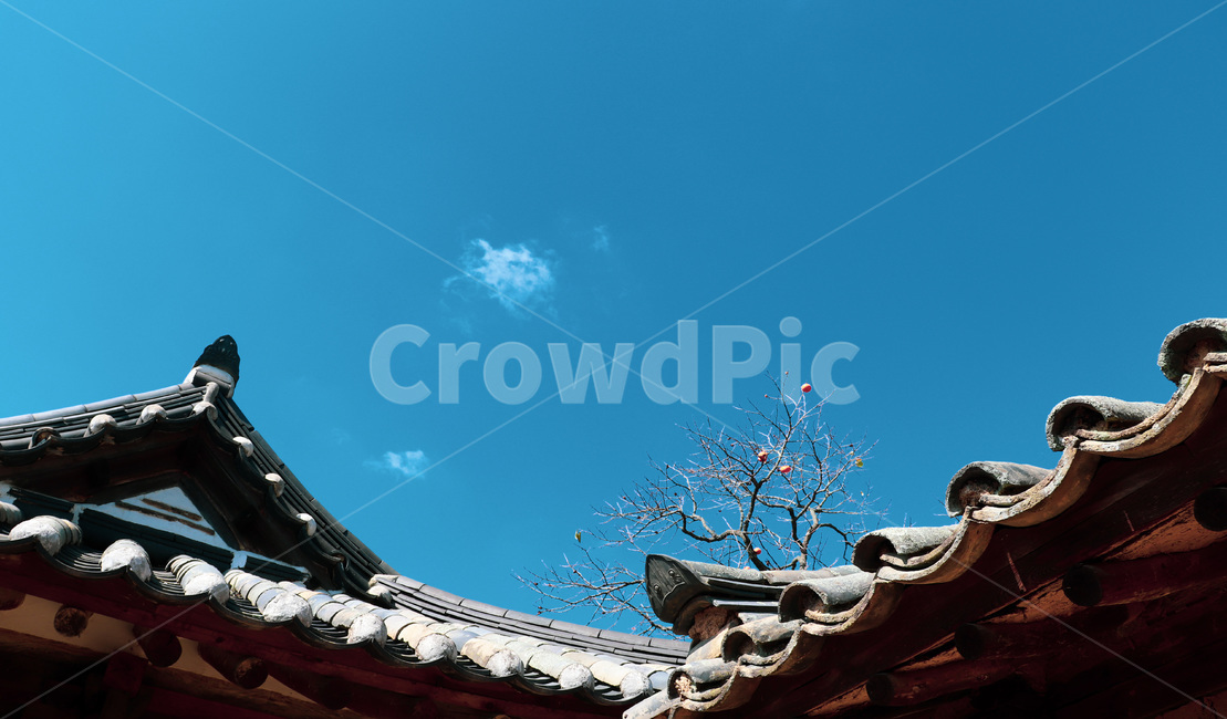 roof,지붕,하늘,sky,기와,한옥,koreanstylehouse,house,한국전통,한국문화,korean traditional,korean culture