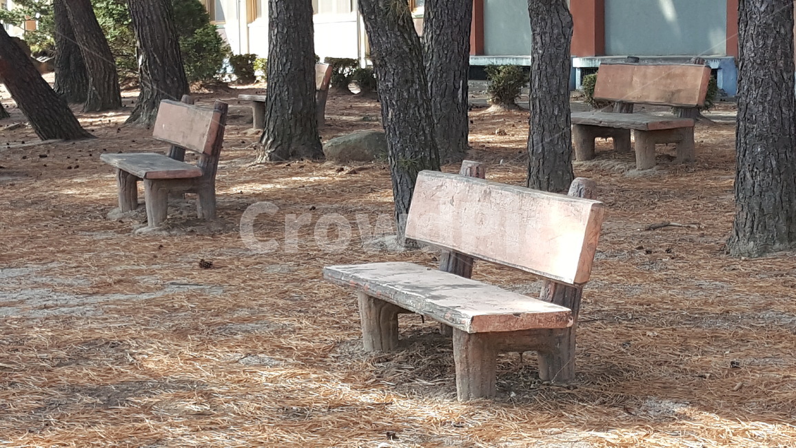 공원,벤치,의자,휴식,돌벤치,자연,인테리어