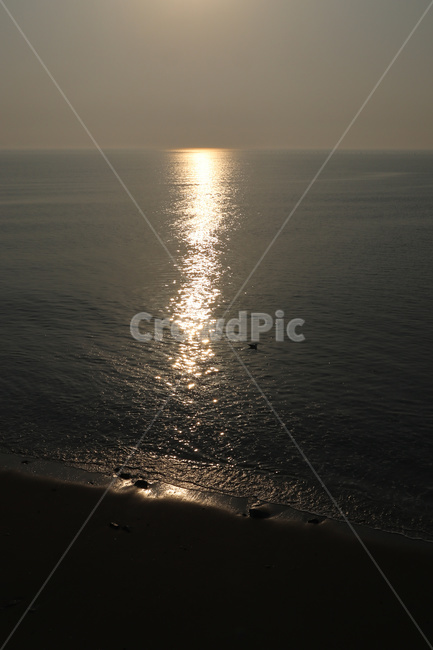 바다,물반사,갈매기,분위기,수평선,sea,바닷가