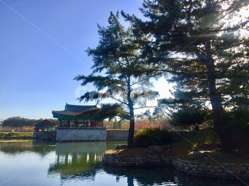 소나무,연못,누각,유적지,정자,한국전통,한국문화,korean traditional,korean culture,랜드마크,landmark,tourist attraction,한국랜드마크,한국관광지,한국명소,korea landmark,korea tourist attraction