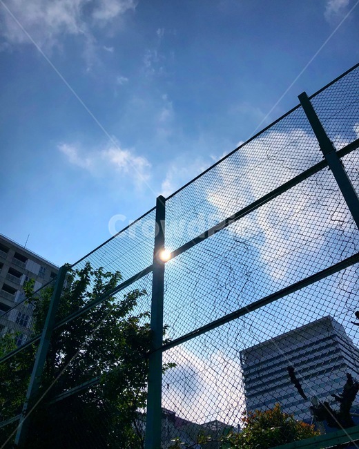 light,빛,flare,플레어,sky,하늘,햇빛,sunshine,sun,풍경