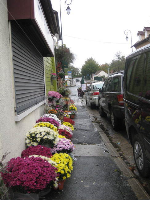 outdoors,야외,car,차,automobile,자동차,transportation,교통,vehicle,차량,꽃,화분