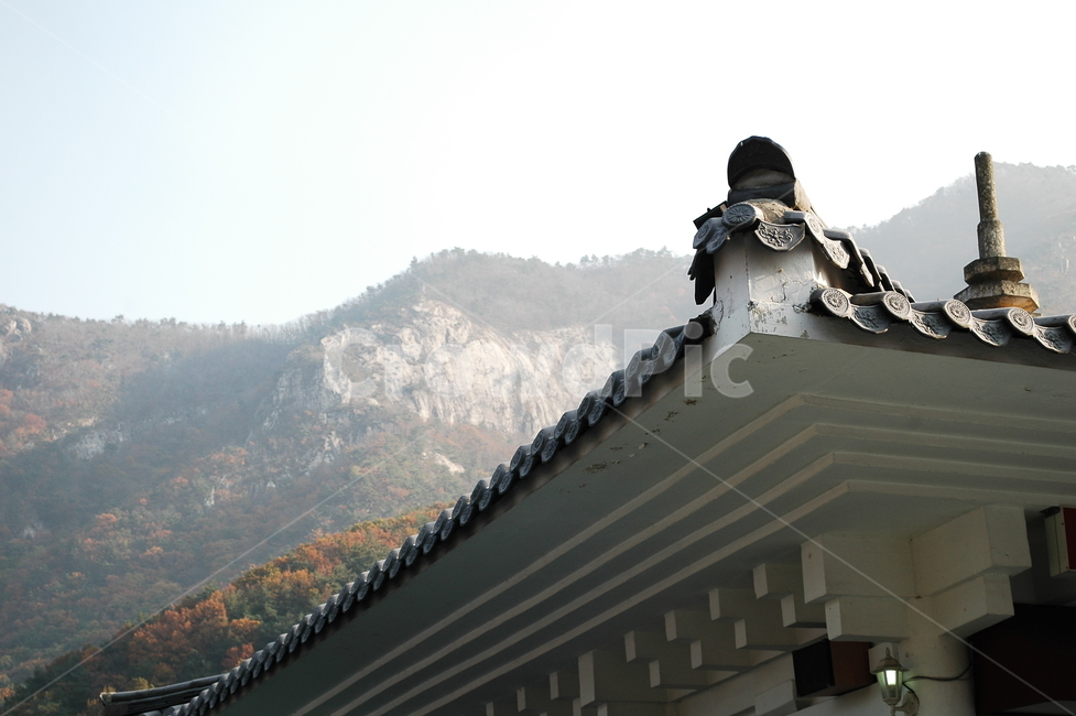 가을,단풍,낙엽,나뭇잎,단풍구경,단풍놀이,기와,기와집,산,하늘,한국전통,한국문화,korean traditional,korean culture,건축물,건물외관,exterior,building,structure,architecture,construction