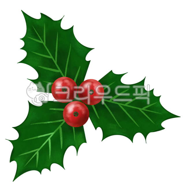 크리스마스,성탄절,호랑이가시나무,세인포티아,열매,홀리데이,겨울,장식