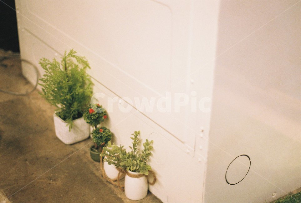 인테리어,카페,감성,장식,화분,식물,자연,plants,nature,실내용화초,화분,화초,house plant,인테리어,실내디자인,interior design