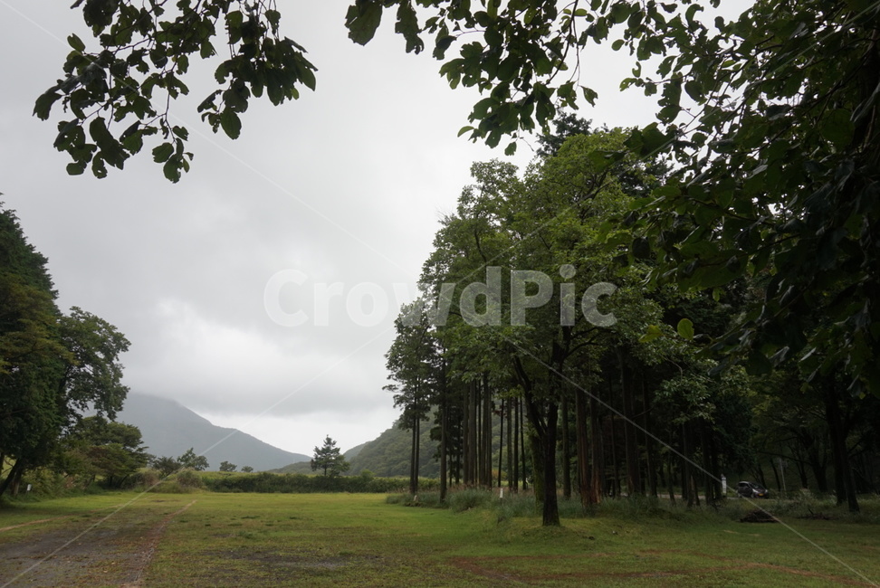 풀,산,자연,풍경,다자이후,자연,풍경,nature,landscape,outdoors,옥외,grassland,목초지,field,들