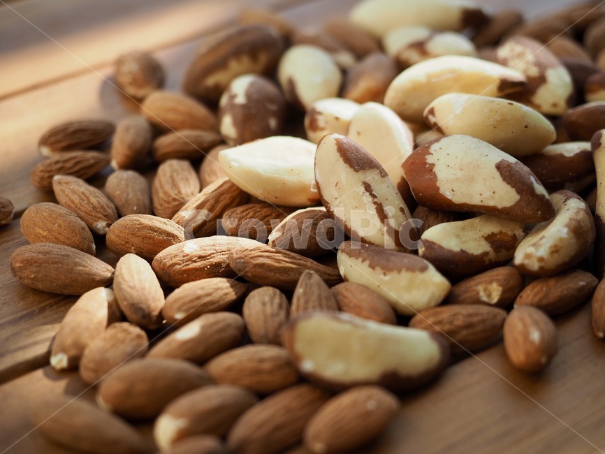 브라질너트,견과류,웰빙,음식,갈색,유기농,brazilnut,nuts,wellbeing,food,brown,organic,아몬드,너트,almond,nut,콩류,견과류,beans,pulse,nuts,dry fruits