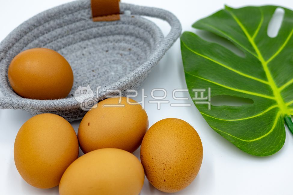 부활절,계란,달걀,계란바구니,예수님,예수,하느님,계란후라이