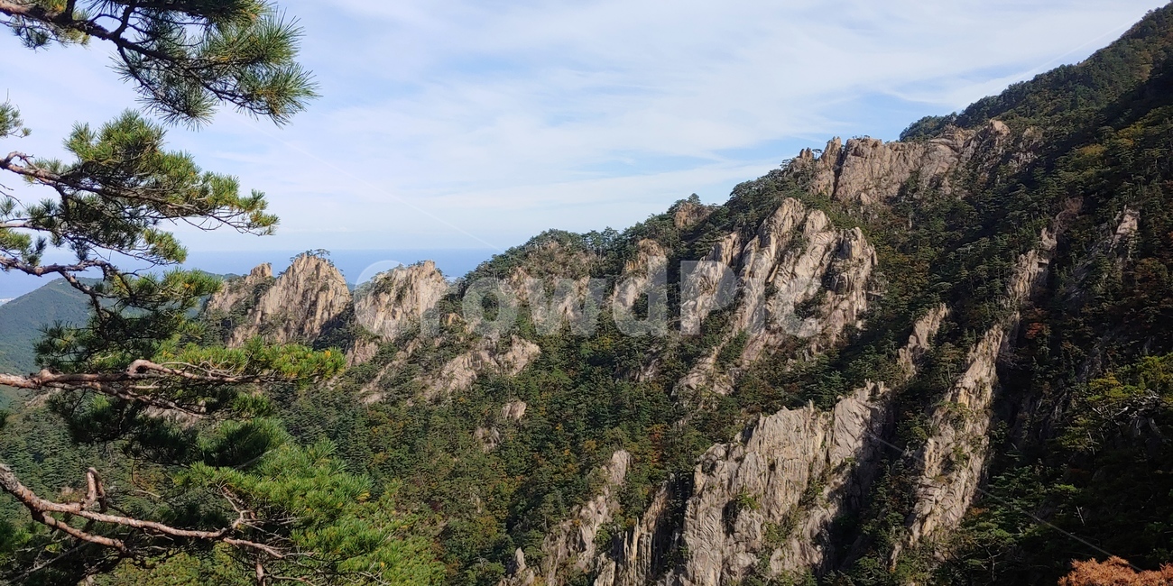 산,나무,자연,경치,풍경,설악산,하늘,등산